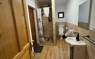 Casa de vacanta/afacere la cheie - Poză 8