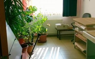 Casa/Vila/Spatiu comercial  Rahova-Sos.Salaj - Poză 13