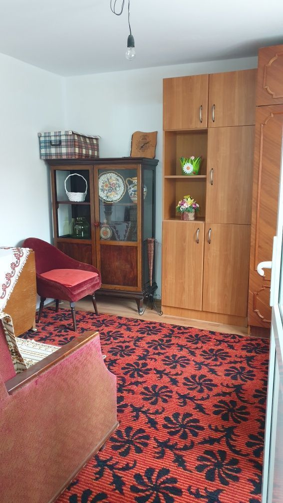 Casa individuala cu 3 camere si 1200 mp teren - zona Mehala - Poză 2