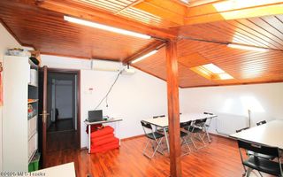 Salcamilor - Bd. Dacia, Vila renovata 223 mp utili, inchiriata! - Poză 66