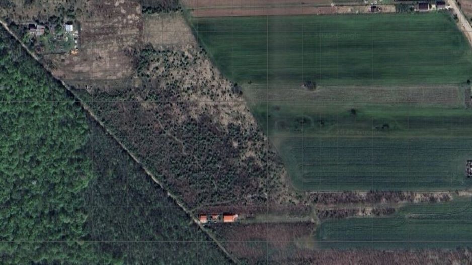 `Teren langa padure, Snagov - Strada Parcului - Poză 6