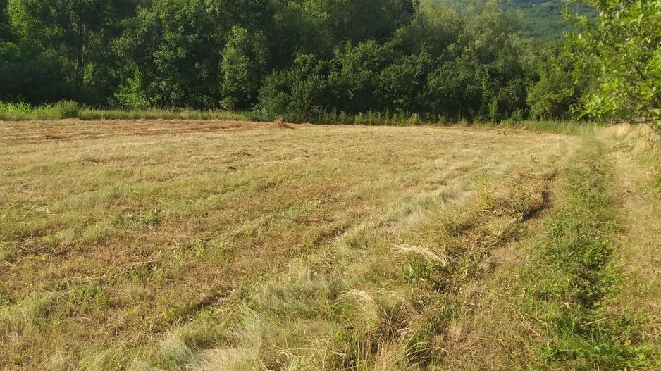 Teren Sasca Română-1079 mp - Poză 7