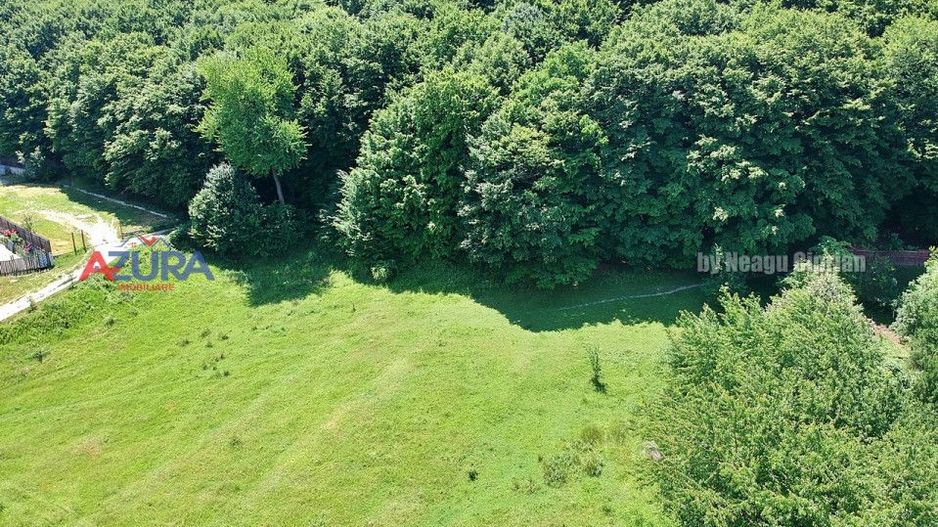 Vanzare teren 904 mp, Bascov, langa padure - Poză 3
