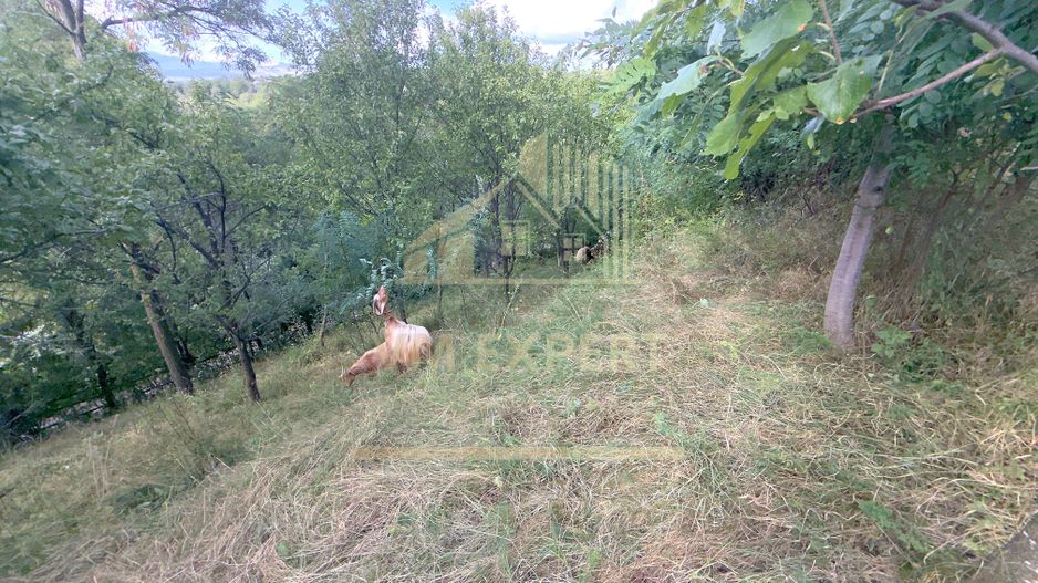 CASA 3 CAMERE TEREN 7770 MP BOTENI ARGEȘ - Poză 29