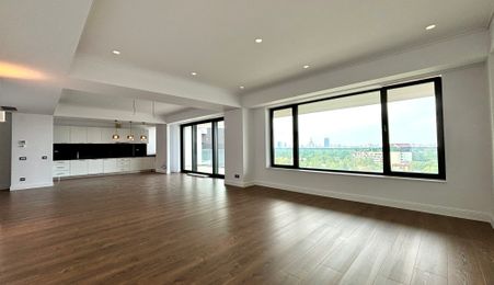 Apartament 4 camere view liber Herastrau - Gafencu 49