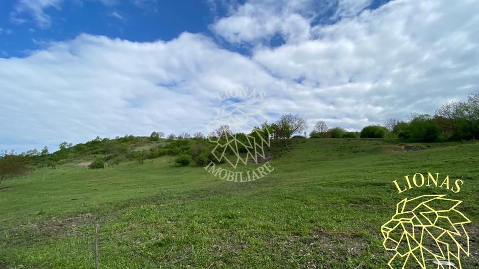 Teren Extravilan - Ghinda - 3.5000mp-Parcelabil - Poză 3