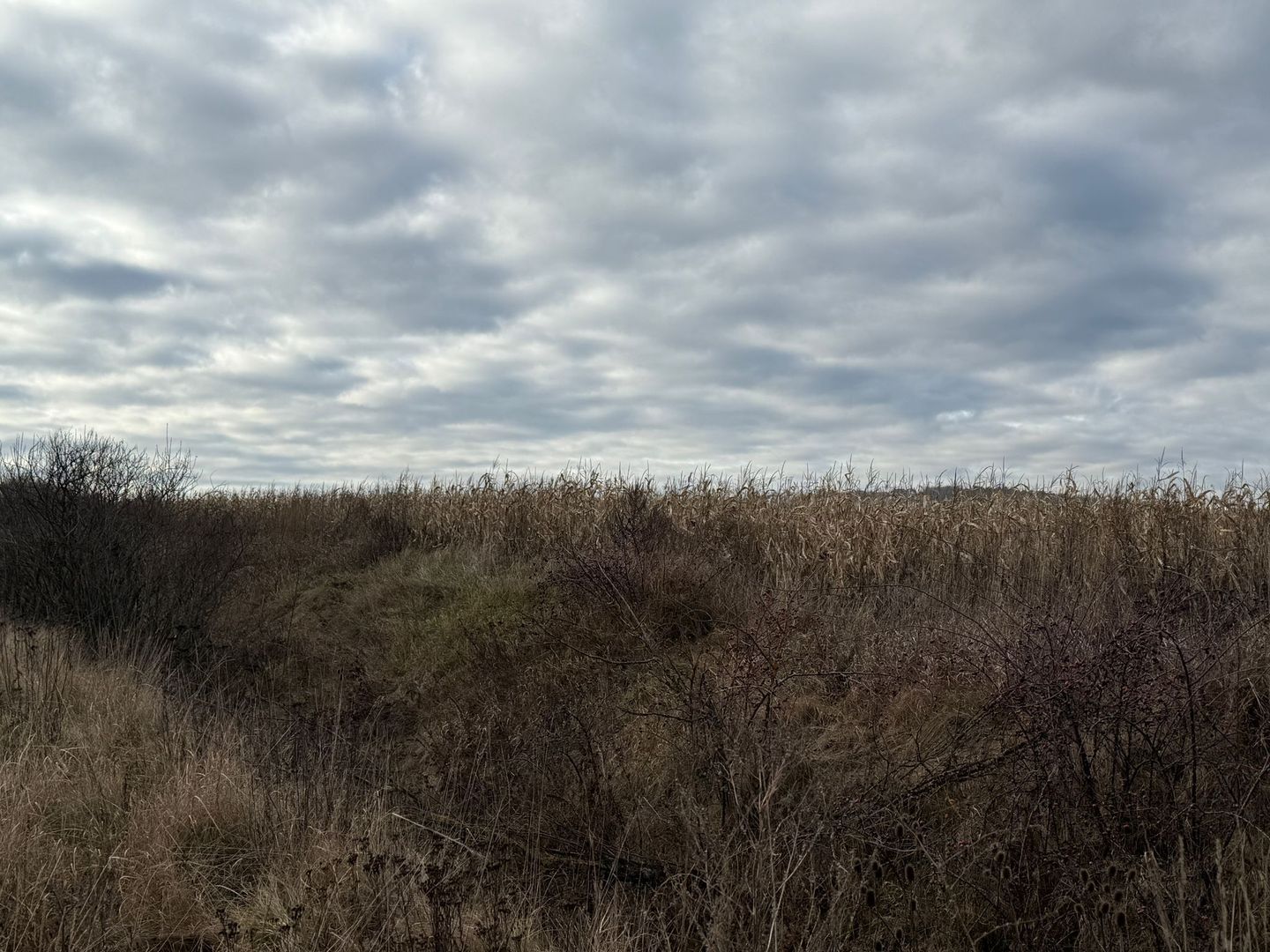 VAND TEREN 46 ARI | VOLOVAT | 47.000 EURO | - Poză 2