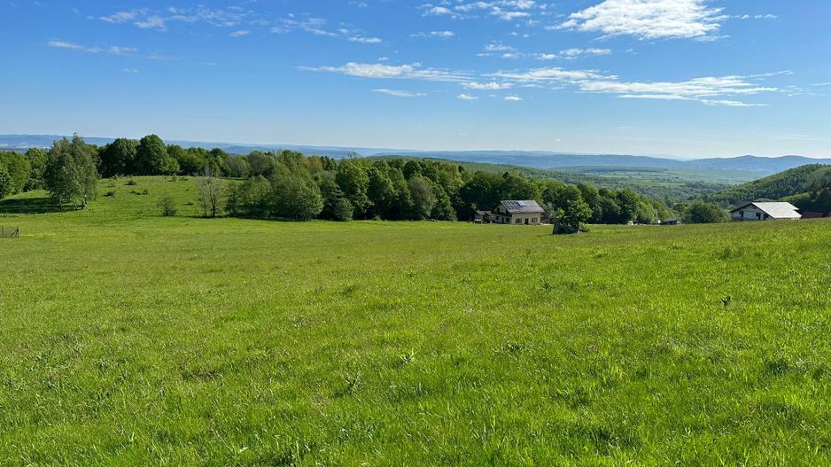 Teren Intravilan in Tocile-priveliste deosebita - Sadu - Sibiu - Poză 3