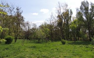 Apartament 3 camere Tatarasi Tudor Office Center - Poză 23