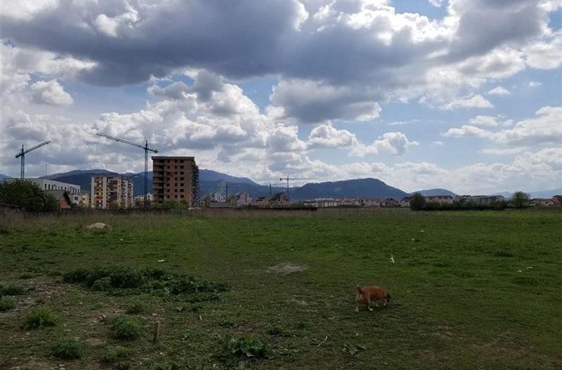 Teren Tractoru-1000 mp - Poză 7