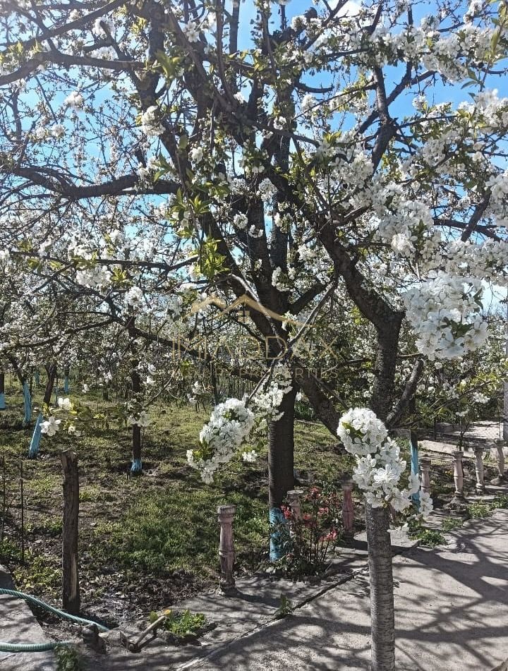 Vila 9 camere***gradina cu pomi fructiferi//1085 mp teren***Dragomiresti-Deal - Poză 20