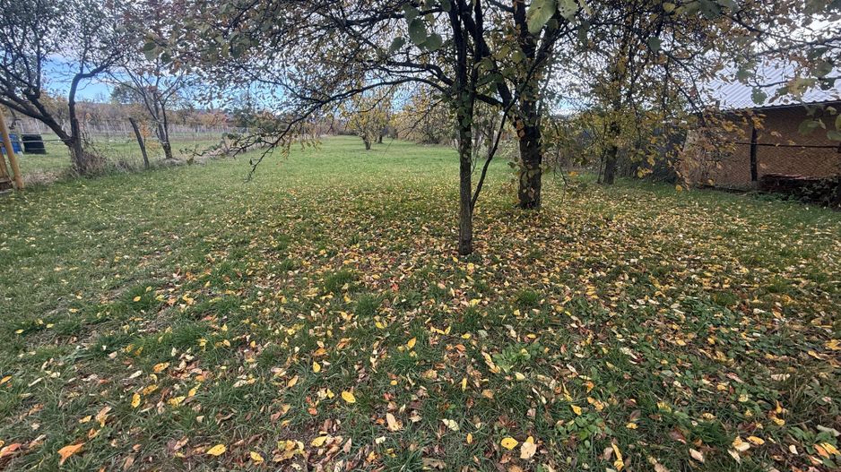 Teren intravilan împrejmuit 2331 mp la strada, toate utilitățile! - Poză 8