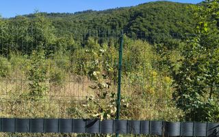 Vand Teren intravilan - Poză 9
