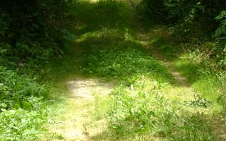 Teren  de vanzare Cornu 643 mp - Poză 2