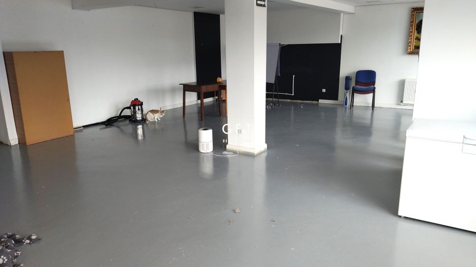 Spatiu comercial, parter, 147 mp, parcare, Zona Sanovil Viisoara - Poză 2