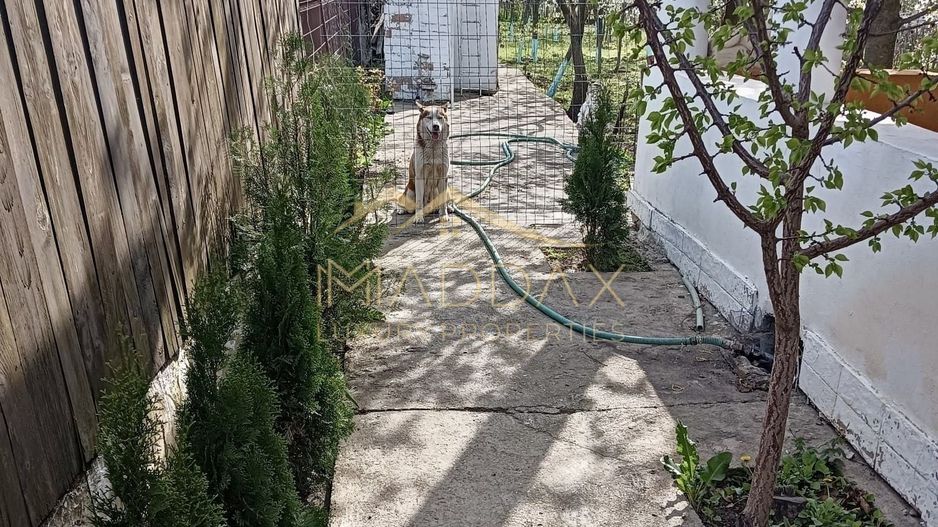 Vila 9 camere***gradina cu pomi fructiferi//1085 mp teren***Dragomiresti-Deal - Poză 20