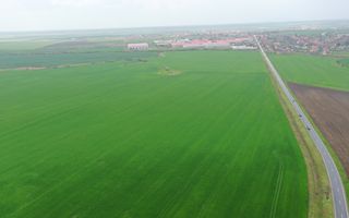 Teren industrial Dudestii Noi - Poză 5