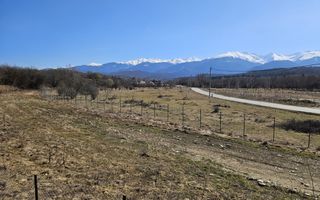 Teren | Intravilan | 2300 MP | Porumbacu de Sus - Poză 2