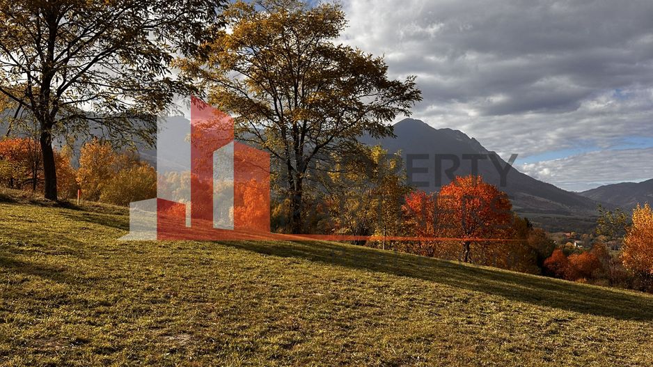 Teren Bran-Tohanita loturi intre 500/1000 mp - Poză 5