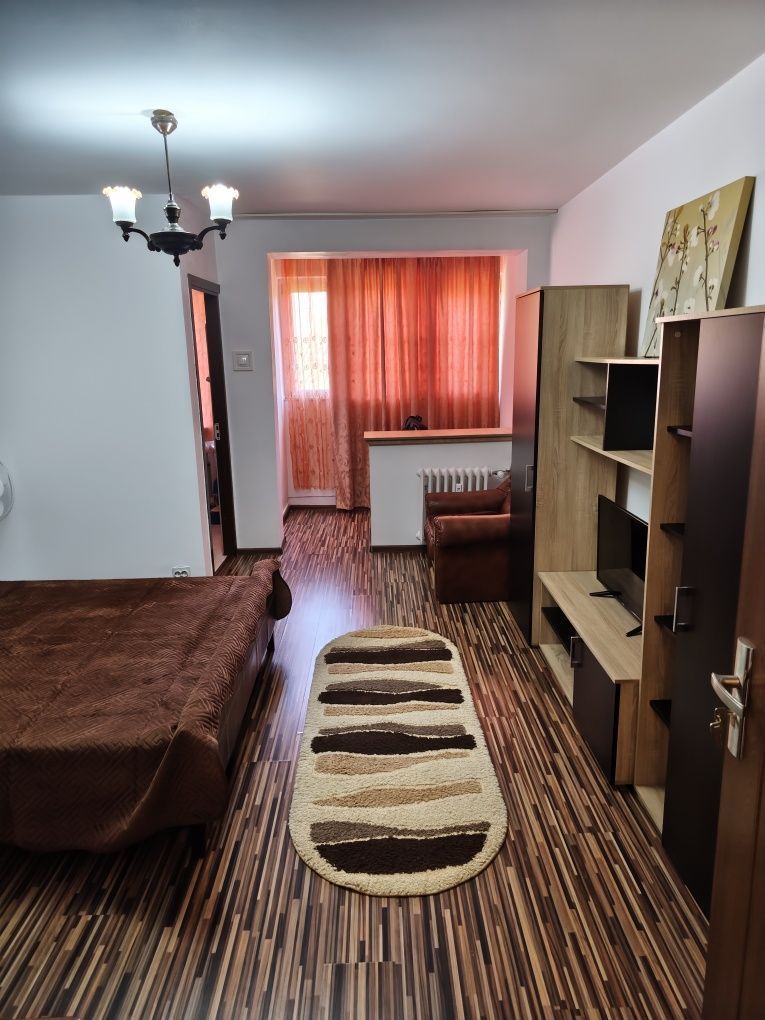 Garsonieră Brazda lui Novac - Poză 4