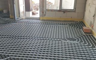 Casa P+1 zona Ford-Selgros-Hamat - Poză 4