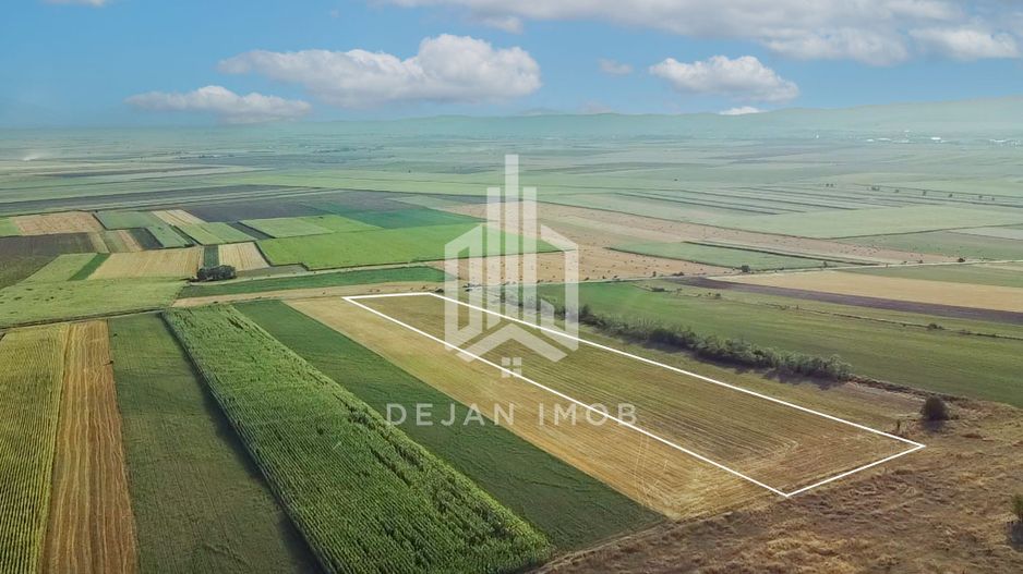 Teren extravilan | 19.000 mp | Ghidfalău - Poză 10