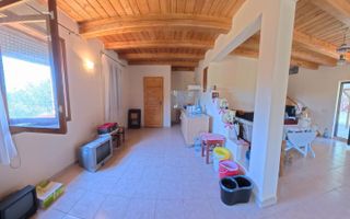 Casă cu 3 dormitoare și teren de 4.836 mp, Viile Satu Mare - Poză 9