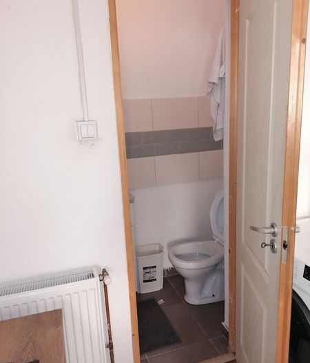 Apartament 1 camera  zona Iosefin la curte - Poză 6