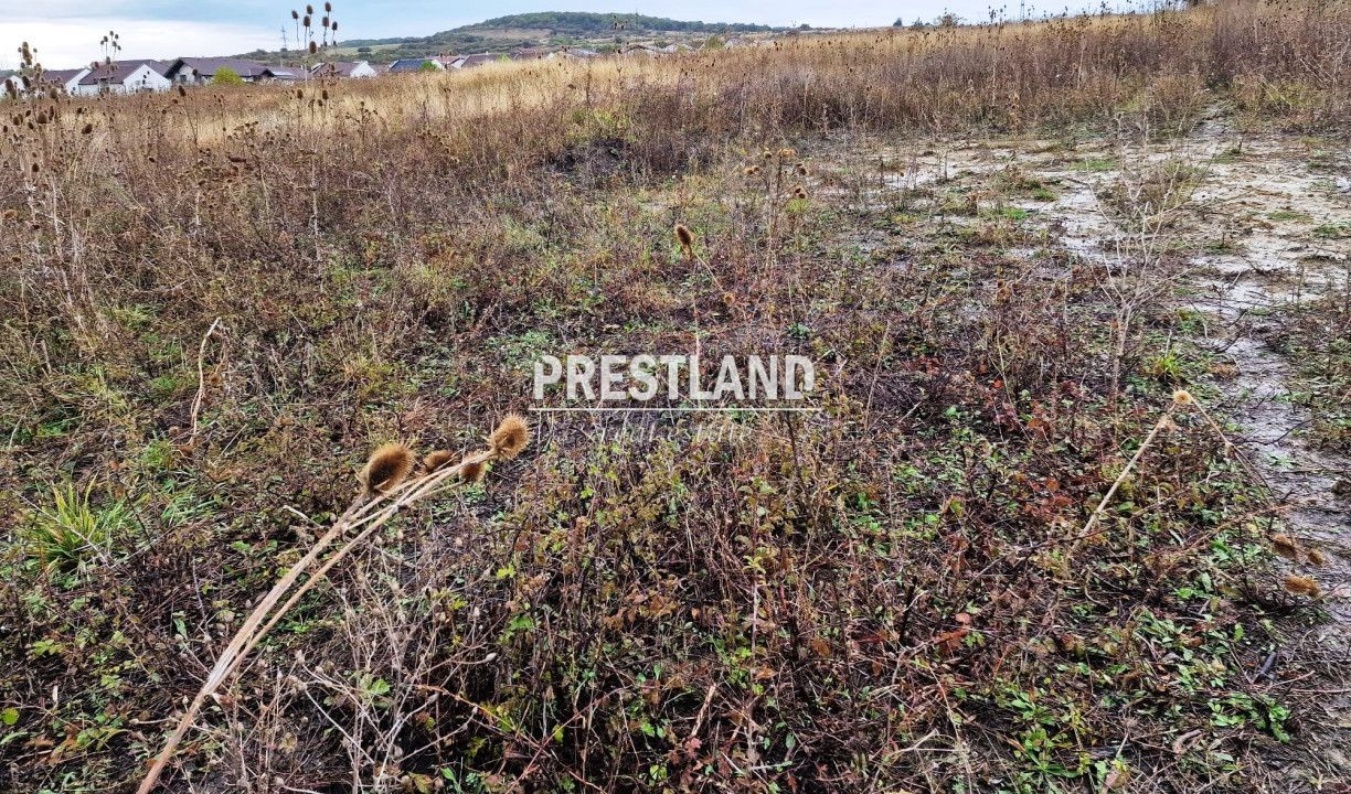 Teren extravilan, pretabil  construcție case/sediu logistic. - Poză 1