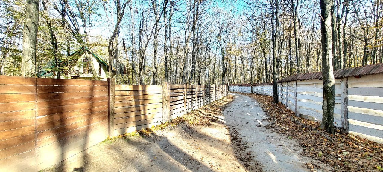 50 ari de Teren forestier si de recreere in Codri!! - Poză 4