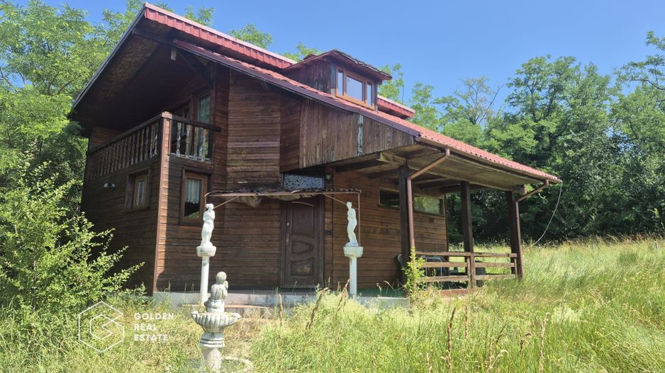 Casa de vacanta in comuna Sistarovat - Poză 1