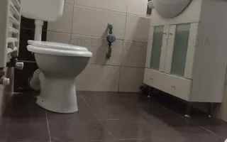 Inchiriere apartament doua camere, semidecomandat, Mosilor - Poză 14