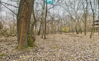 Teren pe malul Mureșului- oportunități multiple - Poză 32