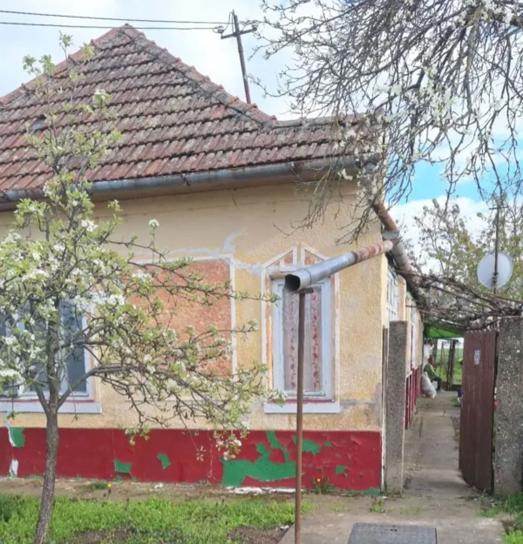 Casa Mailat - Poză 14