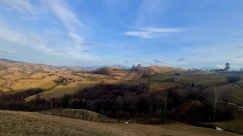 Oaza de liniste si frumusete, reconectare cu natura, 16.000 mp, Poiana Marului - Poză 9