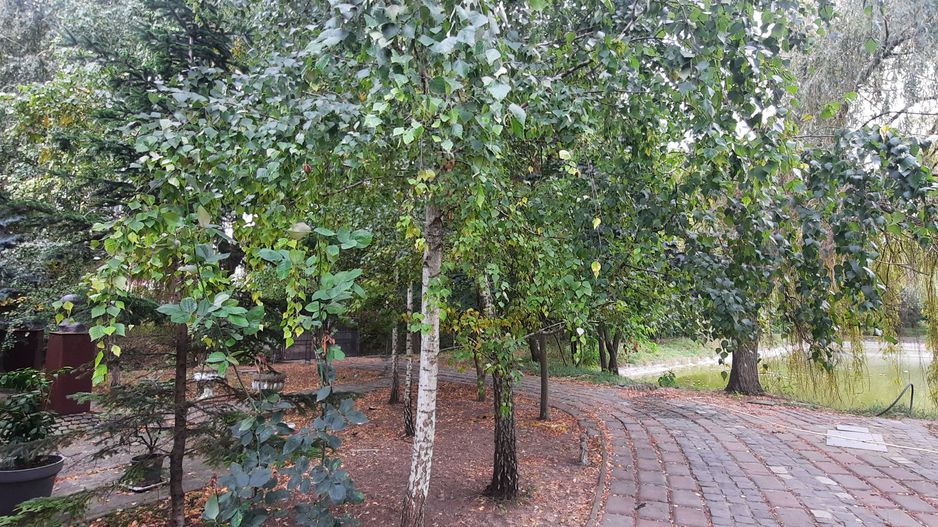 Teren 6779mp - Zona IKEA - Poză 1