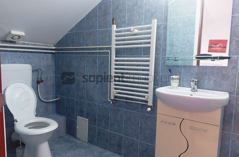 De vanzare casa si spatiu de restaurant in Tarian - Poză 21