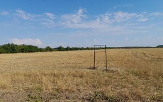 Teren Tamasi Corbeanca - Poză 3