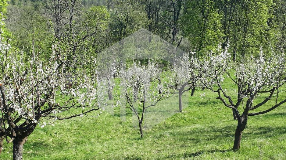 Teren de vanzare - Extravilan - 4288mp - Gusterita - 0% Comision - Poză 1