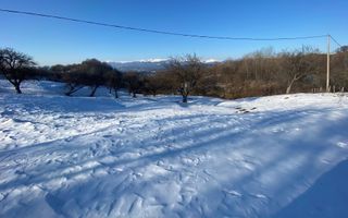 TEREN INTRAVILAN 8522 MP, CAMPULUNG - Poză 3