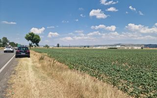 Teren agricol la sosea, pretabil si ptr constructii industriale - Poză 2