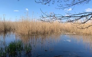 Teren 2000 mp de vânzare – Comana, deschidere la lac, aproape de Parcu - Poză 1