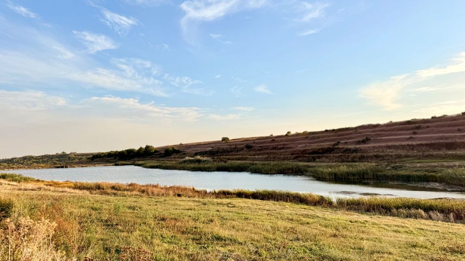 Teren Daia 75000 mp cu balta 30000 mp izvoare - Poză 23