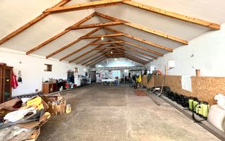 Ferma de vanzare cu 550MP utili si 27.500MP teren la asfalt - Poză 8