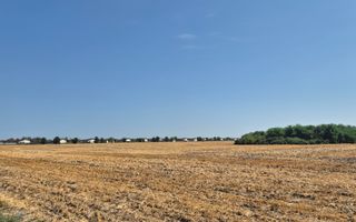 Teren intravilan 4428 mp - Balotesti - Poză 5