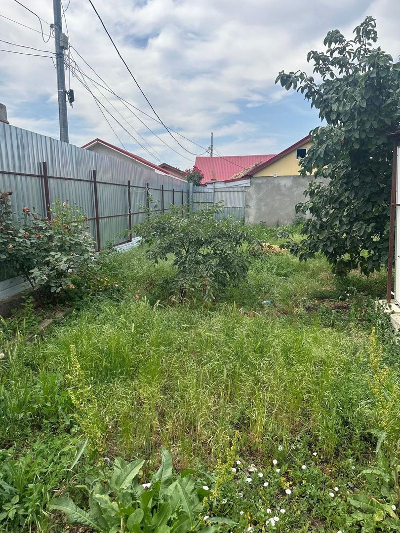 Vanzare casa +teren Cernica - Poză 1