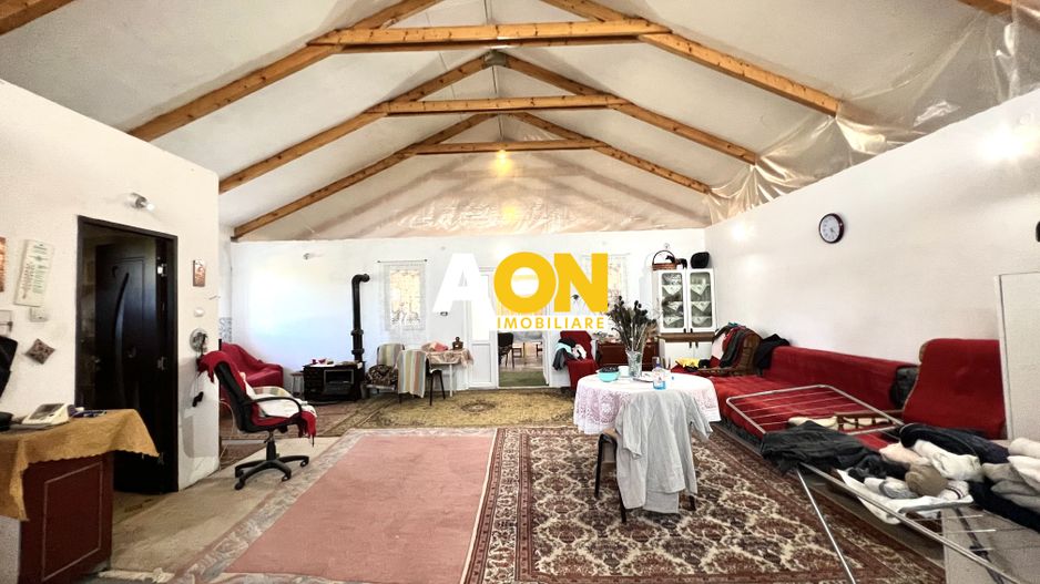 Ferma de vanzare cu 550MP utili si 27.500MP teren la asfalt - Poză 10