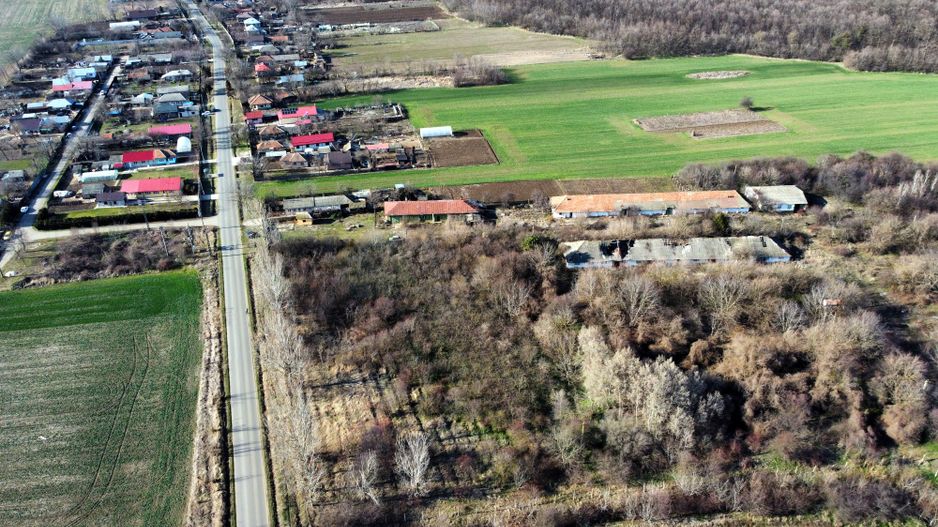 Ferma si livada de meri in judetul Ilfov - Poză 2