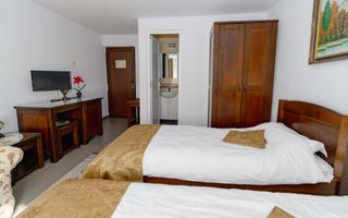 PENSIUNEA EVRICA - COSTESTI - HOREZU - VALCEA - Poză 10