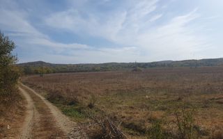 Vanzare teren arabil 22 Ha, plan, Arges, Moraresti - Poză 4